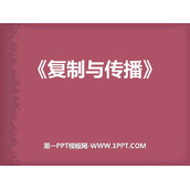 《复制与传播》PPT课件