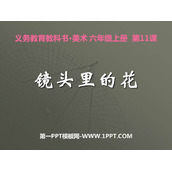 《镜头里的花》PPT下载