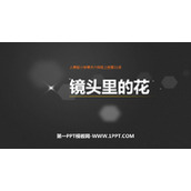 《镜头里的花》PPT课件