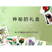 《神秘的礼盒》PPT课件