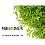 《创造绿色的生活》PPT课件