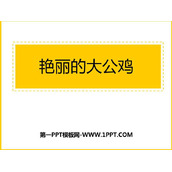 《艳丽的大公鸡》PPT免费下载