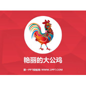 《艳丽的大公鸡》PPT免费课件