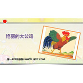 《艳丽的大公鸡》PPT课件下载