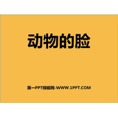 《动物的脸》PPT下载