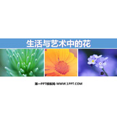 《生活与艺术中的花》PPT下载