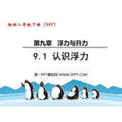 《认识浮力》浮力与升力PPT课件下载