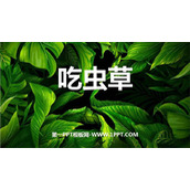 《吃虫草》PPT下载