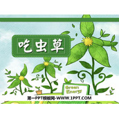《吃虫草》PPT课件