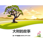 《大树的故事》PPT课件