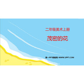 《茂密的花》PPT教学课件