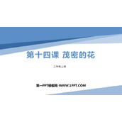 《茂密的花》PPT下载