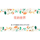 《花的世界》PPT课件