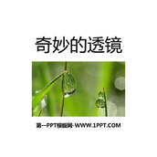 《奇妙的透镜》光和眼睛PPT免费下载