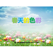 《春天的色彩》PPT课件