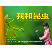 《我和昆虫》PPT课件