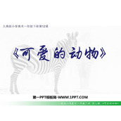 《可爱的动物》PPT精品课件下载