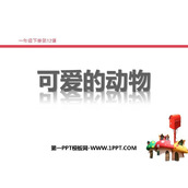 《可爱的动物》PPT免费课件下载