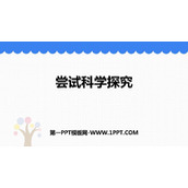 《尝试科学探究》走进物理世界PPT免费下载