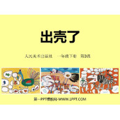 《出壳了》PPT下载