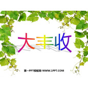 《大丰收》PPT课件