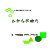 《各种各样的形》PPT课件