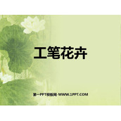 《工笔花卉》PPT免费课件