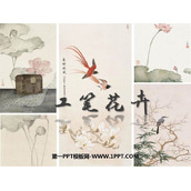 《工笔花卉》PPT课件下载