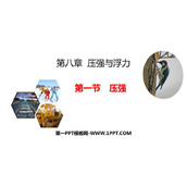 《压强》压强与浮力PPT免费课件