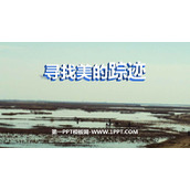 《寻找美的踪迹》PPT优质课件