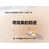 《寻找美的踪迹》PPT课件下载