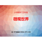 《微观世界》PPT免费课件