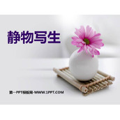 《静物写生》PPT精品课件