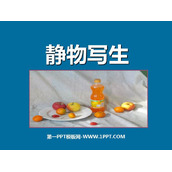 《静物写生》PPT教学课件