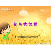 《美丽的纹样》PPT免费课件