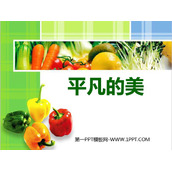 《平凡的美》PPT免费课件