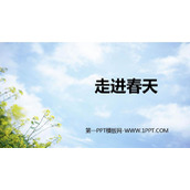 《走进春天》PPT精品课件