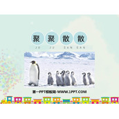 《聚聚散散》PPT课件下载