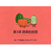 《蔬菜的剖面》PPT课件下载