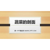 《蔬菜的剖面》PPT教学课件