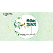 《动物的花衣裳》PPT免费课件