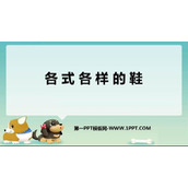 《各式各样的鞋》PPT免费课件