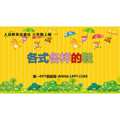 《各式各样的鞋》PPT课件下载