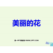 《美丽的花》PPT免费课件