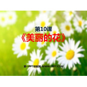《美丽的花》PPT课件下载
