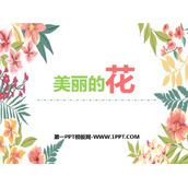 《美丽的花》PPT教学课件