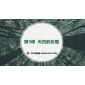 《天然的纹理》PPT免费课件