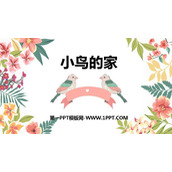 《小鸟的家》PPT免费课件
