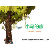 《小鸟的家》PPT课件下载