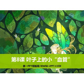 《叶子上的小“血管”》PPT教学课件